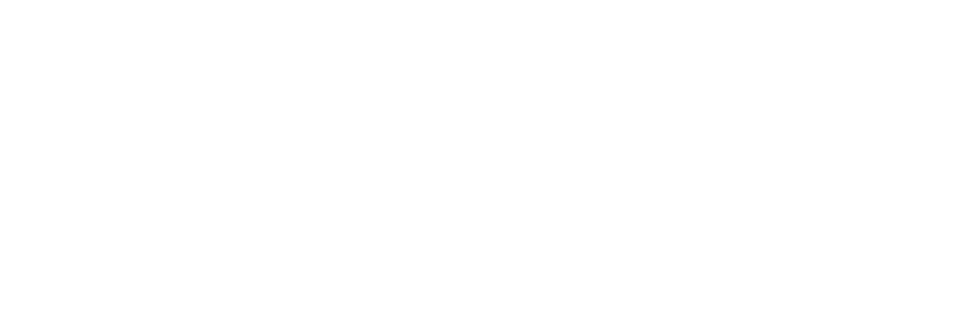 TelecomEgypt logo
